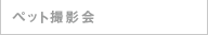 ペット撮影会