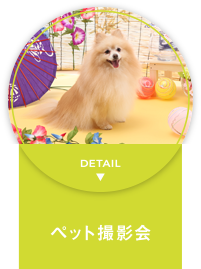 ペット撮影会