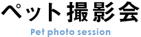 ペット撮影会